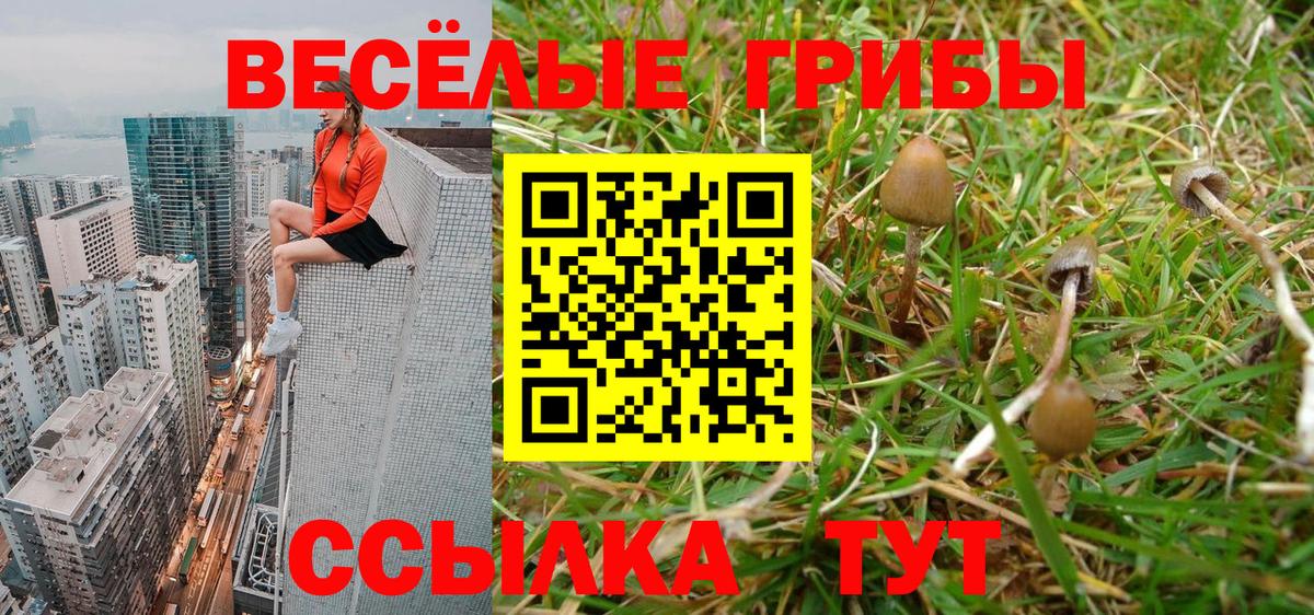 Галлюциногенные грибы Cubensis Жигулёвск