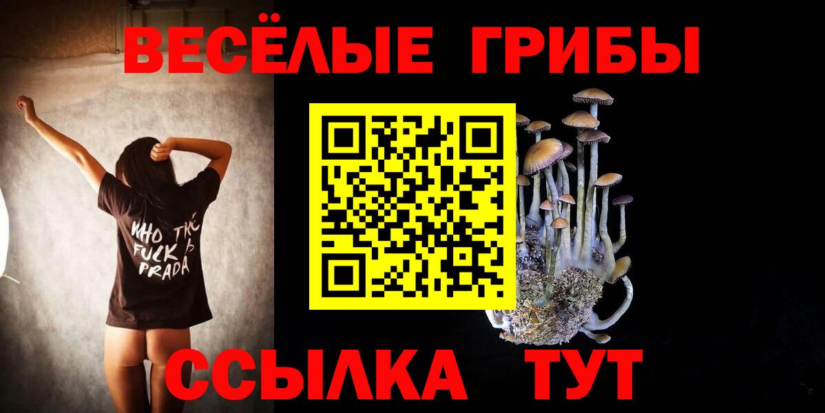 Жигулёвск  где можно купить наркотик  Вход с VPN  Галлюциногенные грибы Cubensis  Галлюциногенные грибы MAGIC MUSHROOMS 